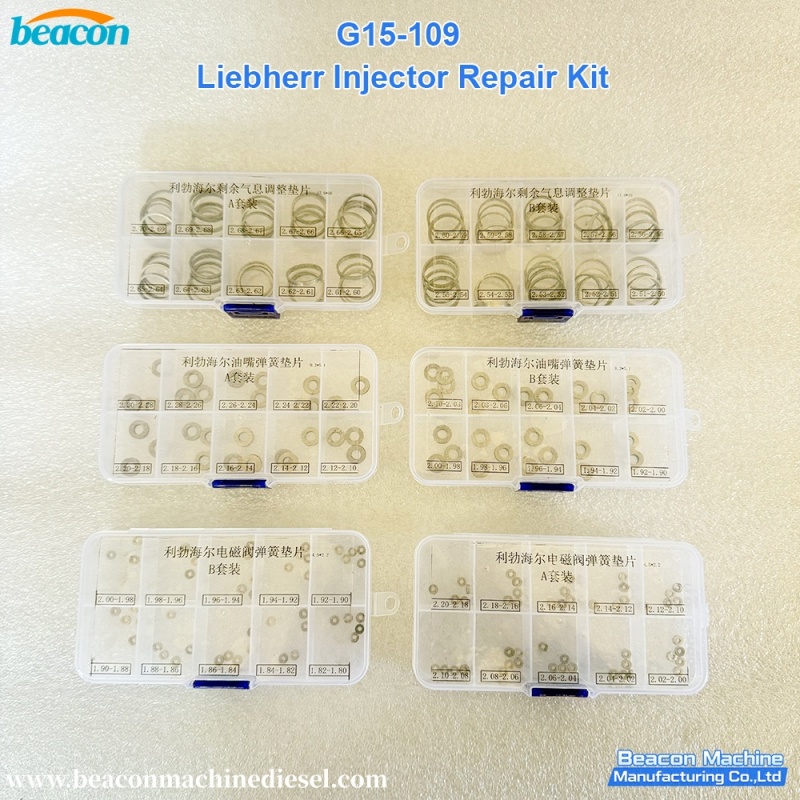 Liebherr Injector Repair Kit
